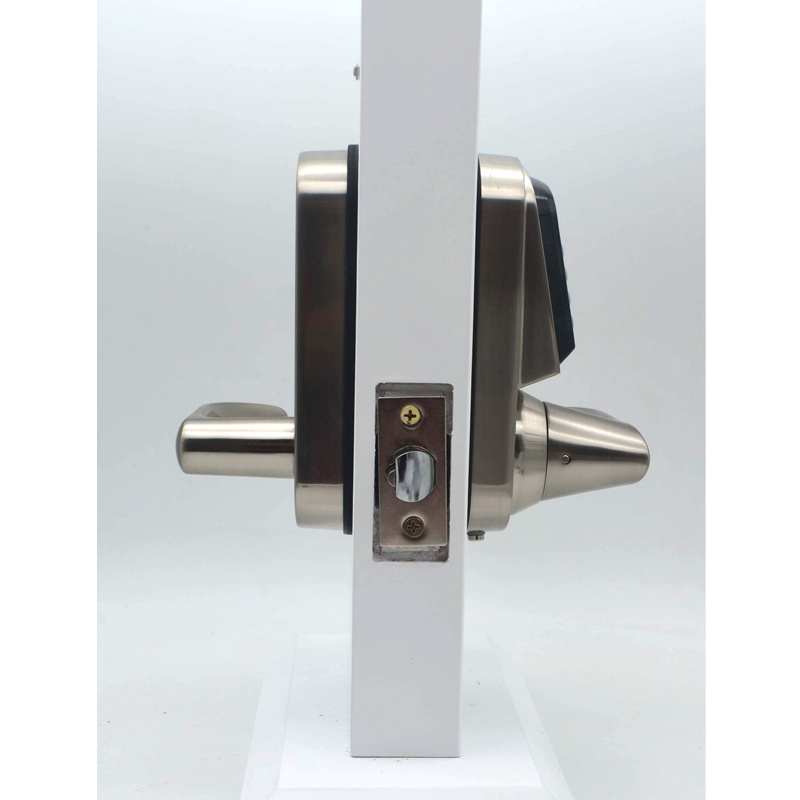 قفل باب رقمي عالي الجودة بمقبض - مراجعة Door Handle وسعره